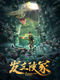 发丘陵冢海报